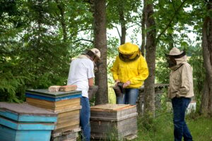 Beekeeper in protective wear working in his apiary. Beekeeping concept